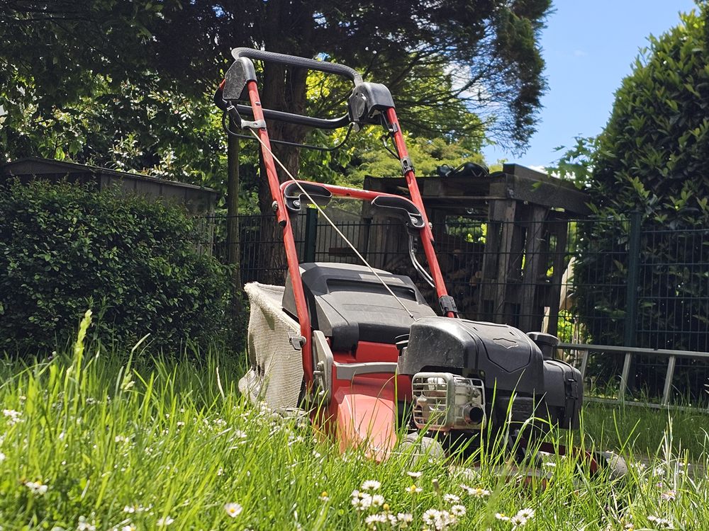 Rasenpflege Gartenpflege Marl 45772 Marl 45772 - Immobilienservice Kenkel