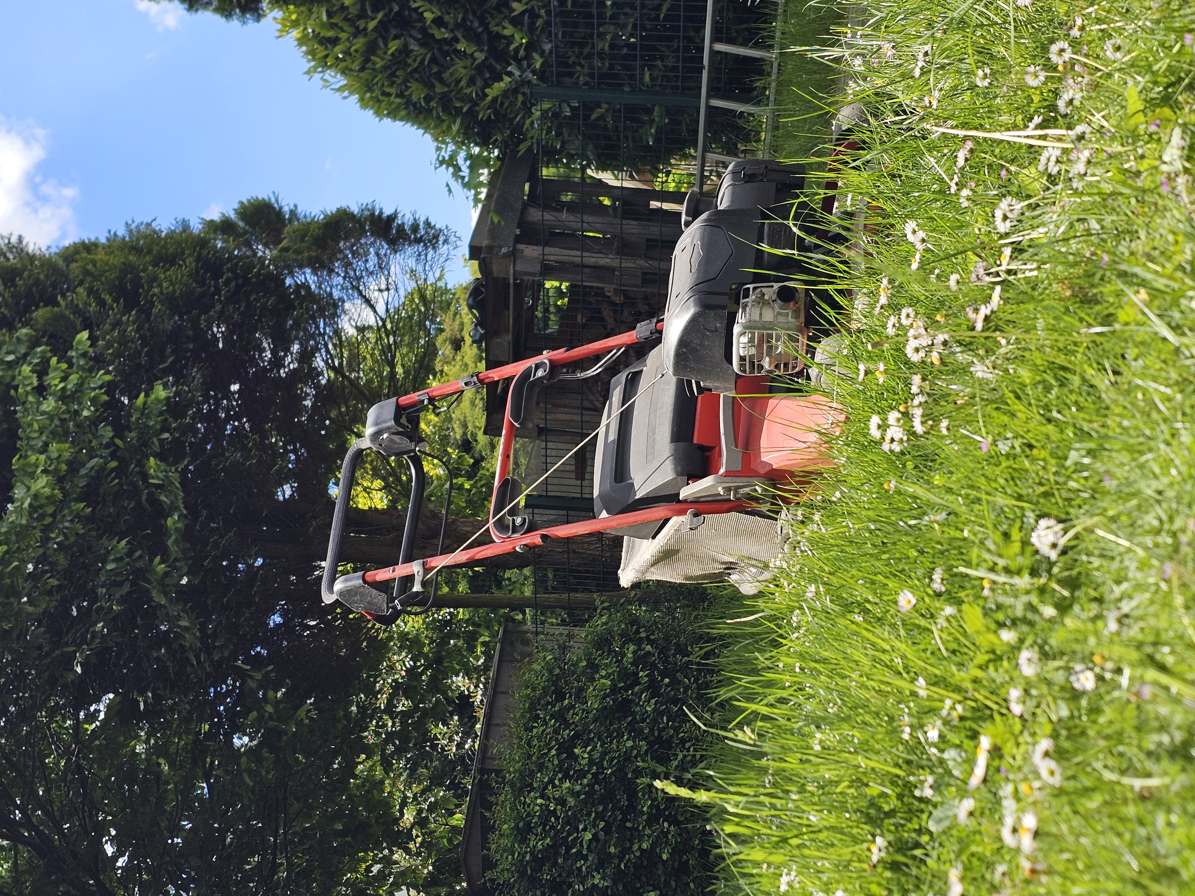 Rasenpflege mit Rasenmäher in Marl 45772 durch Immobilienservice Kenkel
